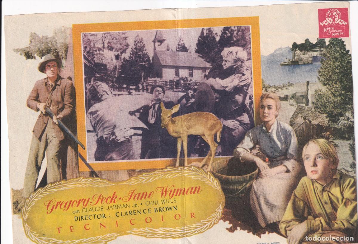 Cine: EL DESPERTAR : GREGORY PECK, JANE WYNAN - Foto 2