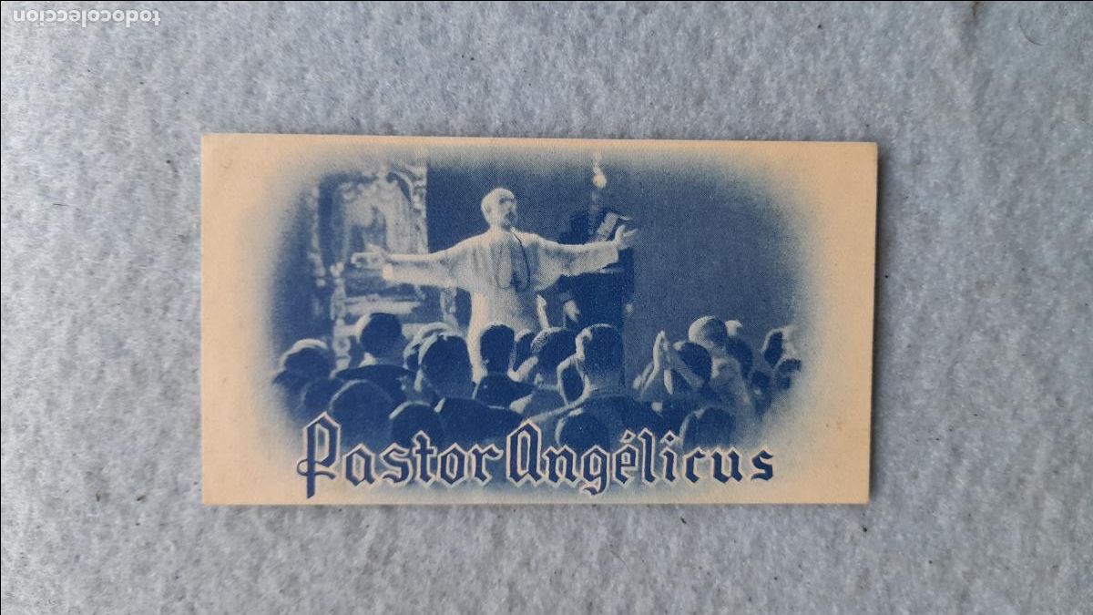 Cine: Programa de la Pel&iacute;cula Pastor Ang&eacute;licus. - Foto 1