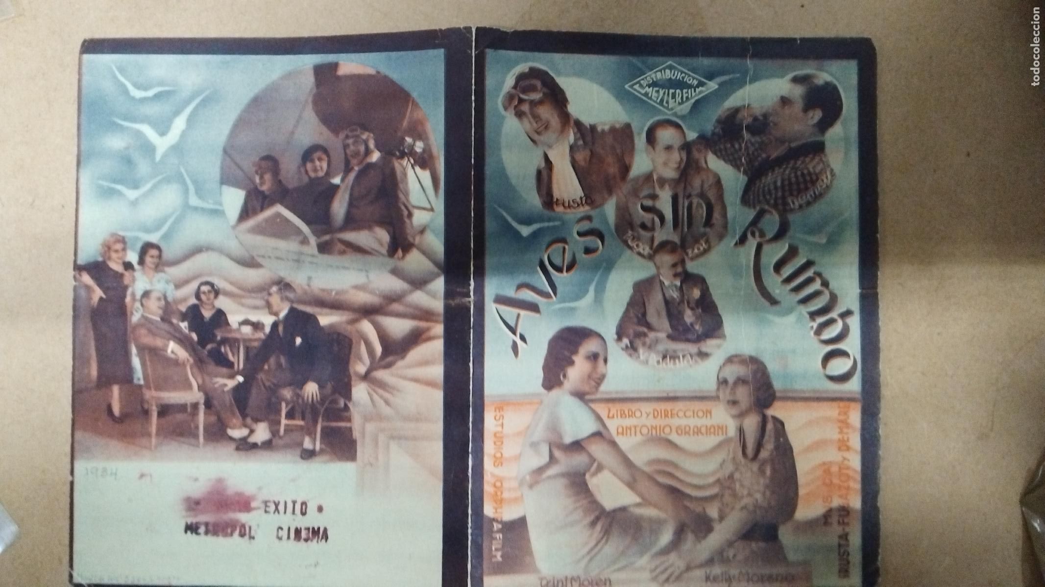 Cine: PROGRAMA DE CINE DOBLE AVES SIN RUMBO - MEYTROPOL CINEMA - Foto 1