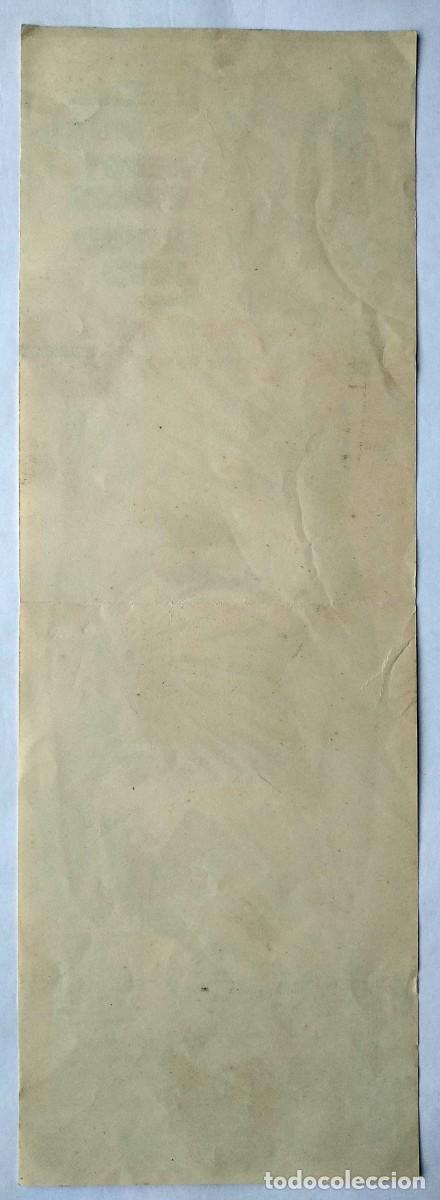 Cine: CINTIA, con Sof&iacute;a Loren. 1960. 14,5 x 45 cms. PROGRAMA-CARTEL DE ESCAPARATE. - Foto 2