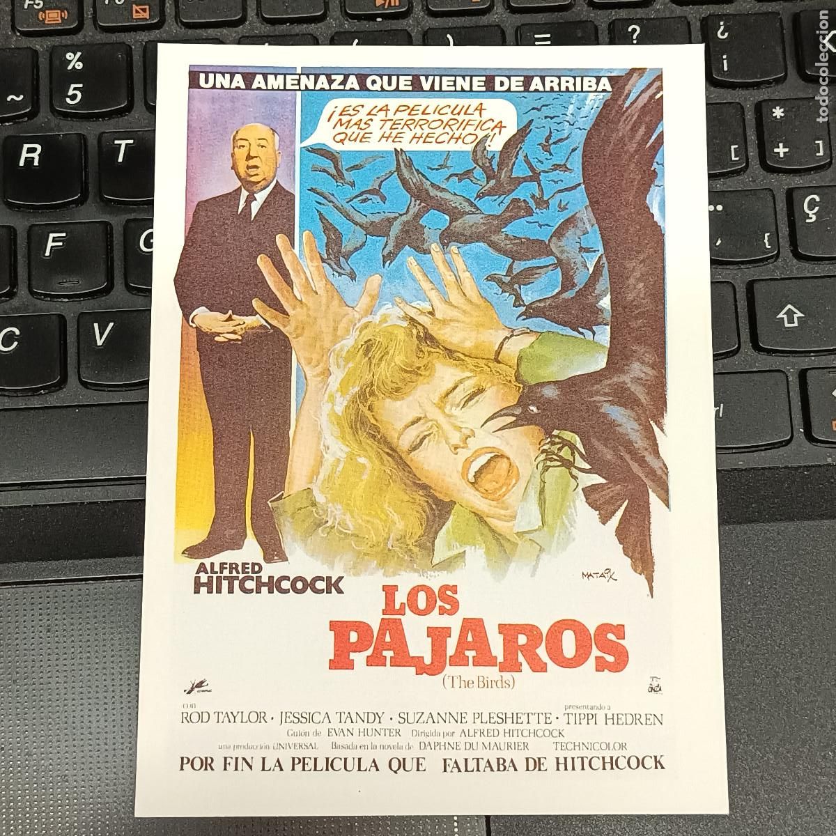 Cine: PROGRAMA DE CINE LOS PAJAROS. ALFRED HITCHCOCK. - Foto 1