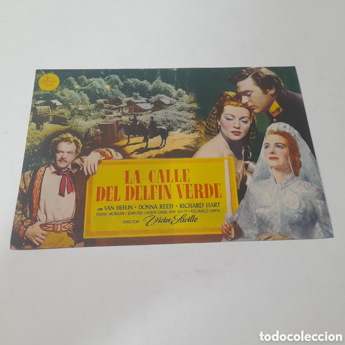 Cine: Programa La calle del Delf&iacute;n Verde - Foto 1