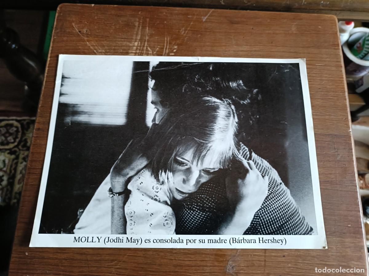 Folhetos de m&atilde;o de filmes antigos de cinema: LOBBY CARD MOLLY CANNES 1988 PROGRAMA