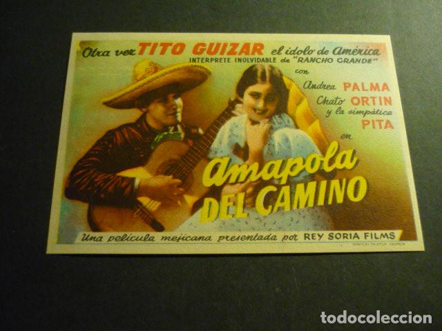Cine: AMAPOLA DEL CAMINO PROGRAMA DE CINE SIN PUBLICIDAD - Foto 1
