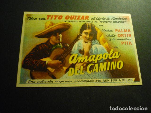 Cine: AMAPOLA DEL CAMINO PROGRAMA DE CINE SIN PUBLICIDAD - Foto 1