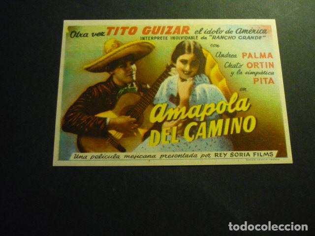 Cine: AMAPOLA DEL CAMINO PROGRAMA DE CINE SIN PUBLICIDAD - Foto 1