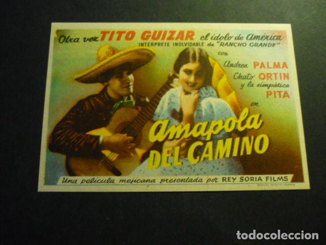 Cine: AMAPOLA DEL CAMINO PROGRAMA DE CINE SIN PUBLICIDAD - Foto 1