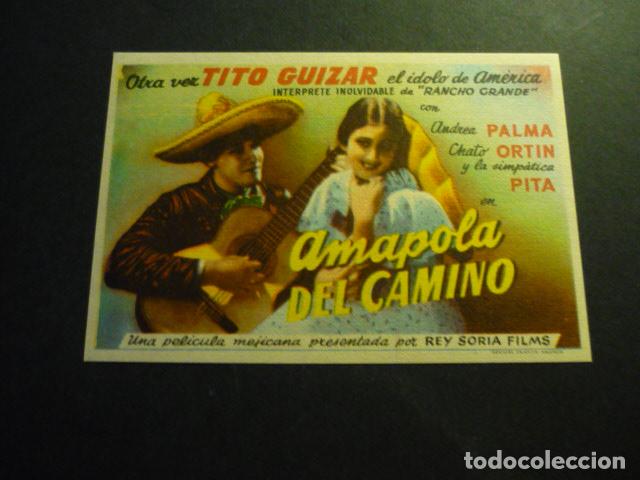 Cine: AMAPOLA DEL CAMINO PROGRAMA DE CINE SIN PUBLICIDAD - Foto 1