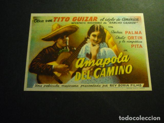 Cine: AMAPOLA DEL CAMINO PROGRAMA DE CINE SIN PUBLICIDAD - Foto 1