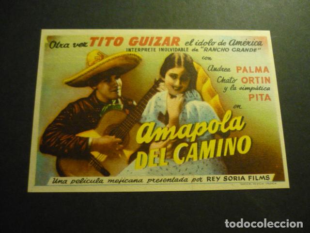 Cine: AMAPOLA DEL CAMINO PROGRAMA DE CINE SIN PUBLICIDAD - Foto 1