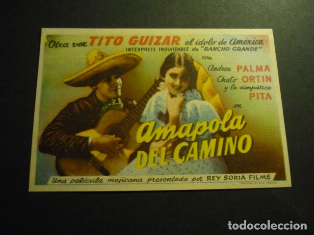 Cine: AMAPOLA DEL CAMINO PROGRAMA DE CINE SIN PUBLICIDAD - Foto 1