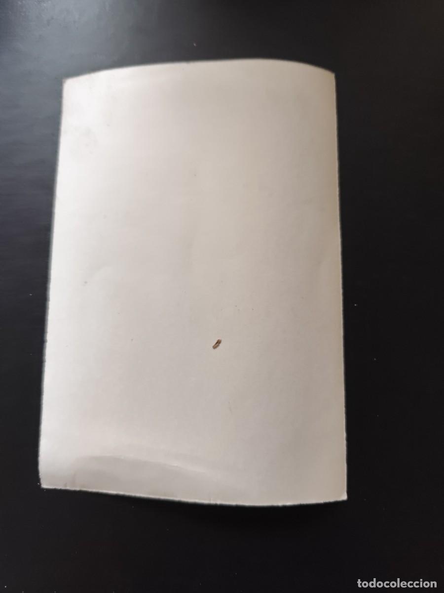 Cine: La gorila sin publicidad - Foto 2