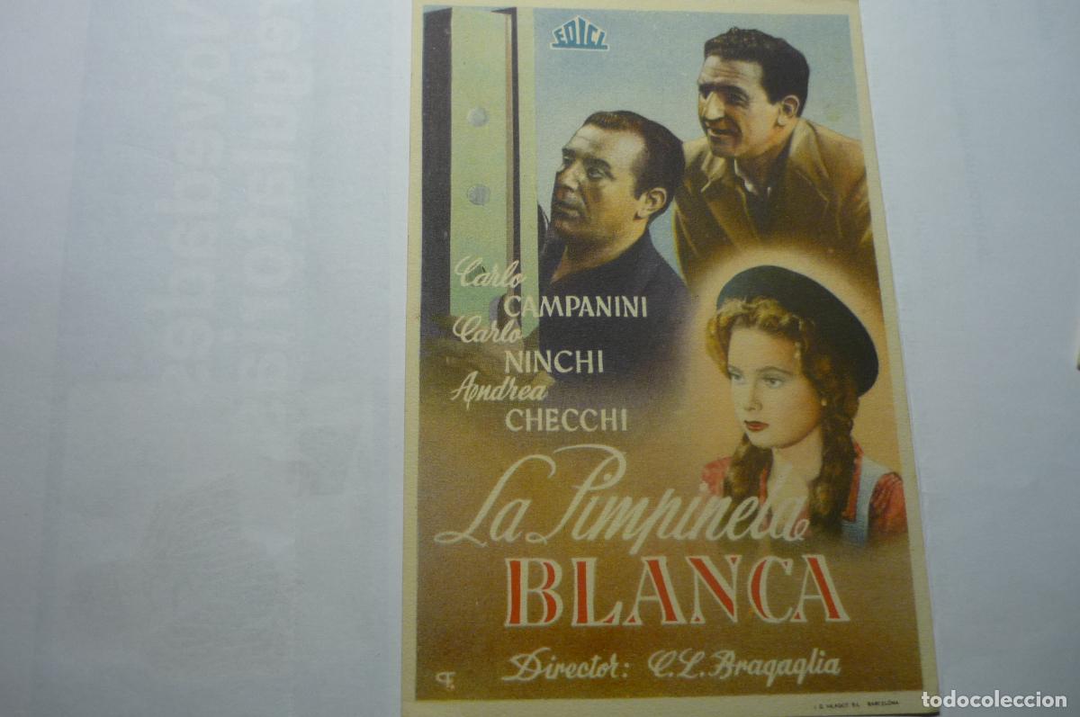 Cine: PROGRAMA LA PIMPINELA BLANCA,. CARLO NINCHI