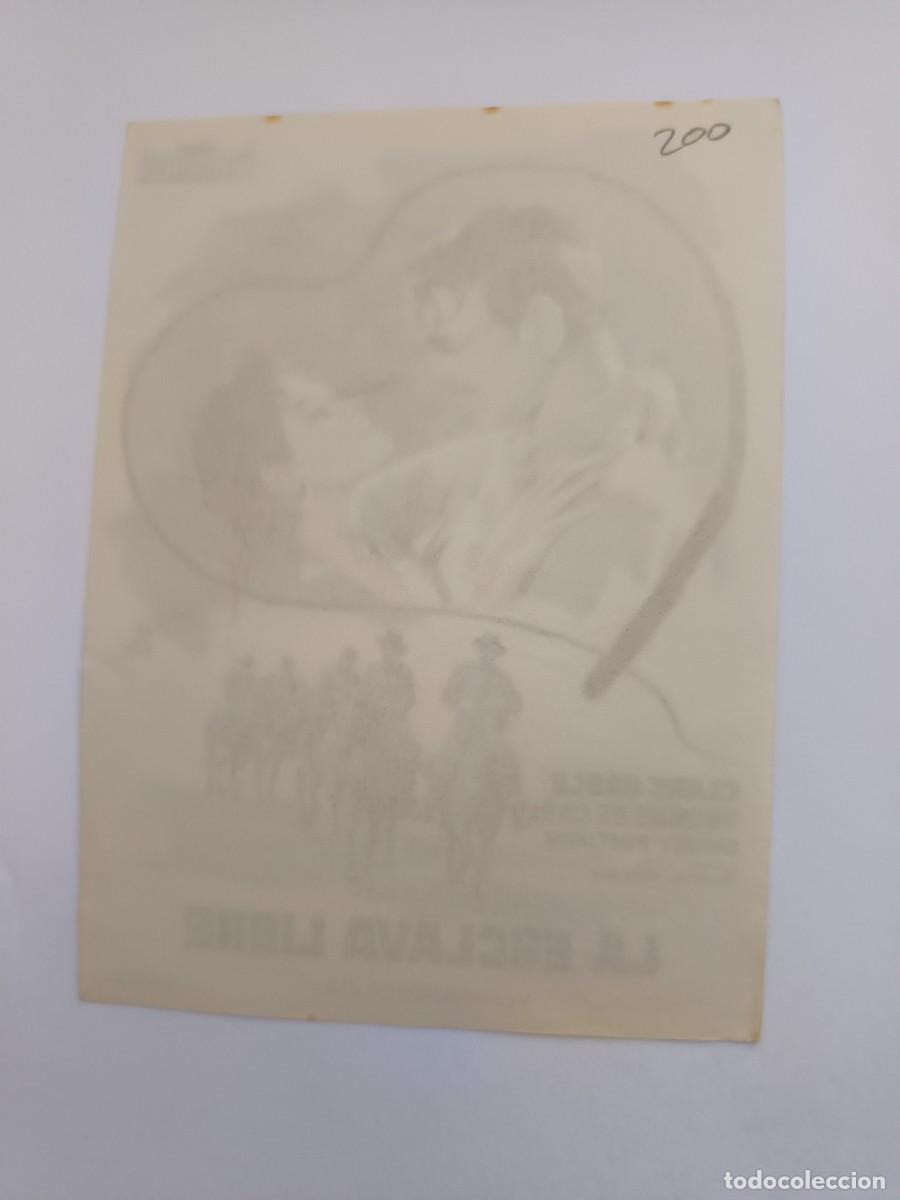 Cine: PROGRAMA DE CINE LA ESCLAVA LIBRE - Foto 2