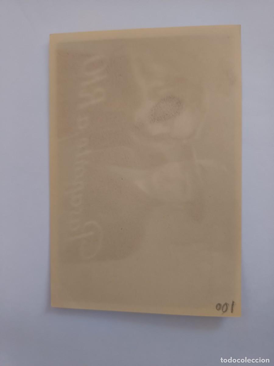 Cine: PROGRAMA DE CINE PASAPORTE A RIO - Foto 2