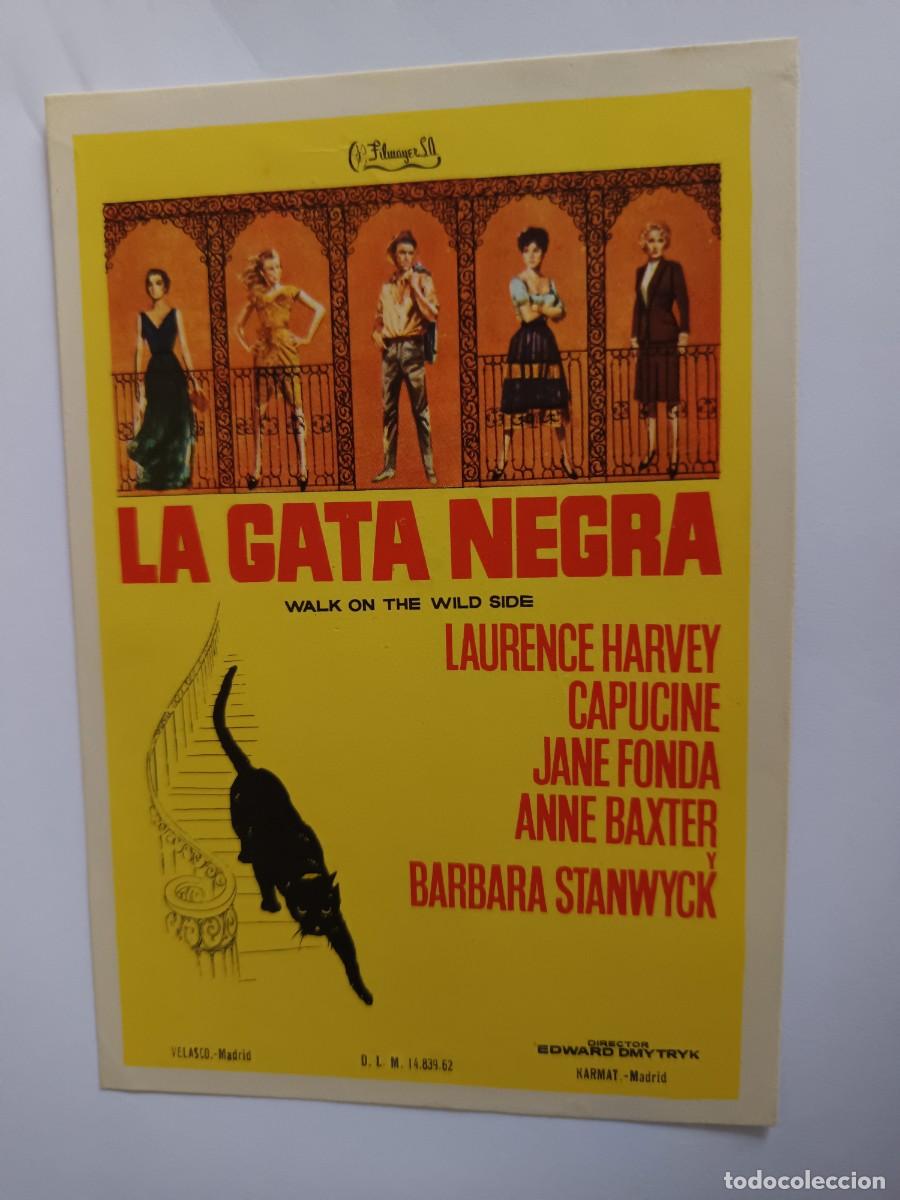 Cine: PROGRAMA DE CINE LA GATA NEGRA - Foto 1