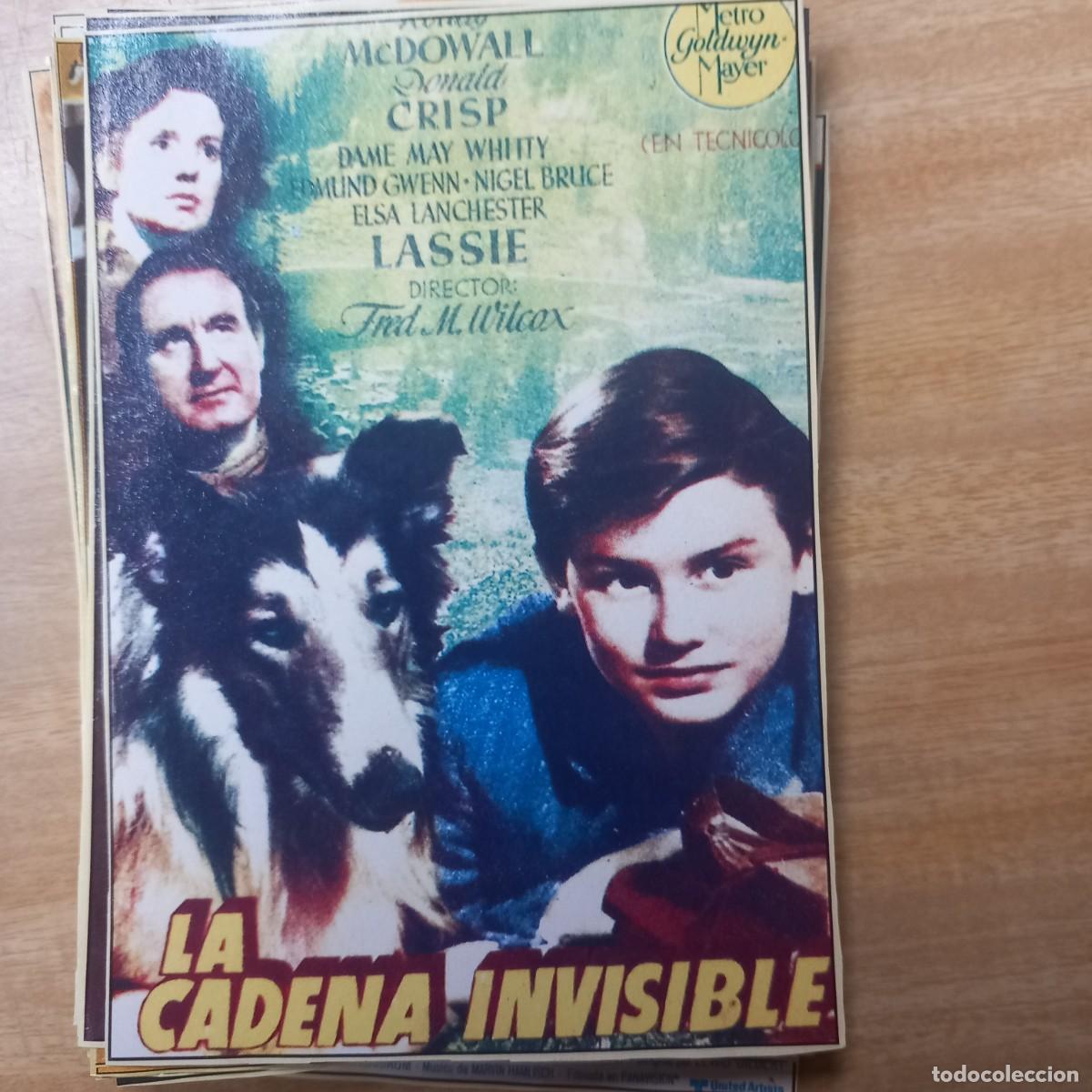 Cine: Caratulas Comedia - Lassie . La Cadena Invisible - Foto 1