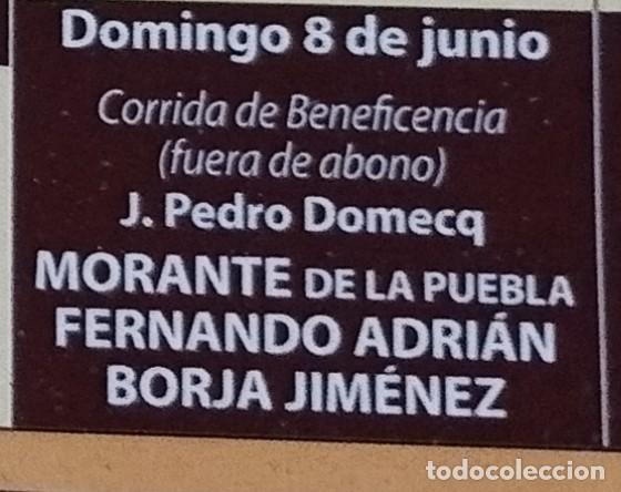 Cine: Programa San Isidro 2025. Morante de la Puebla - Foto 2