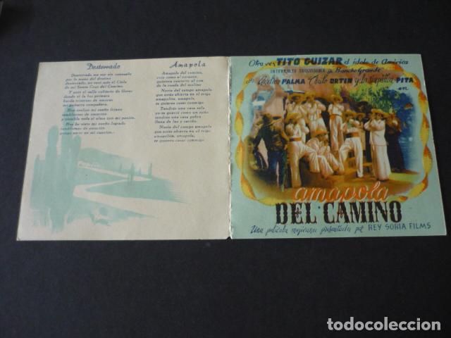 Cine: AMAPOLA DEL CAMINO PROGRAMA DE MANO DOBLE SIN PUBLICIDAD - Foto 1