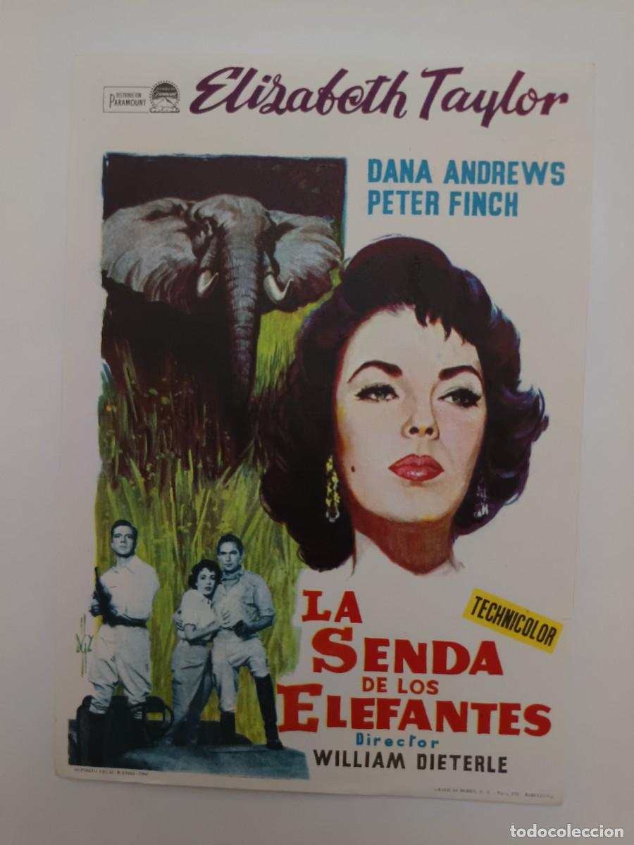 Cine: PROGRAMA DE CINE LA SENDA DE LOS ELEFANTES - Foto 1