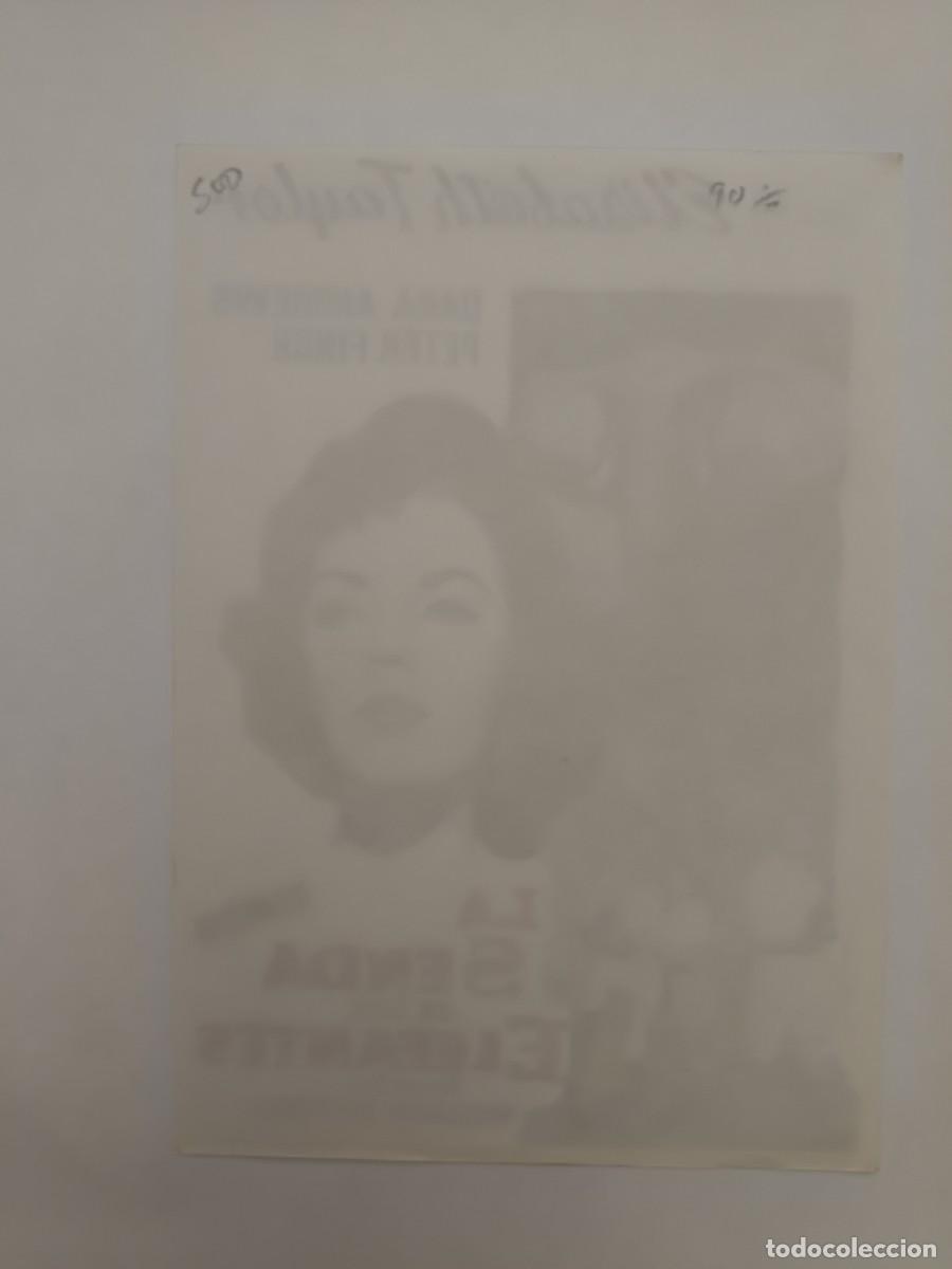 Cine: PROGRAMA DE CINE LA SENDA DE LOS ELEFANTES - Foto 2