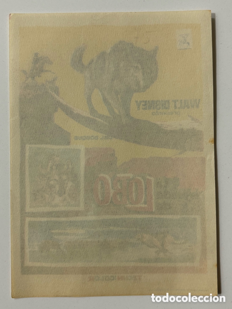 Cine: Programa Walt Disney la leyenda de lobo A17 - Foto 2