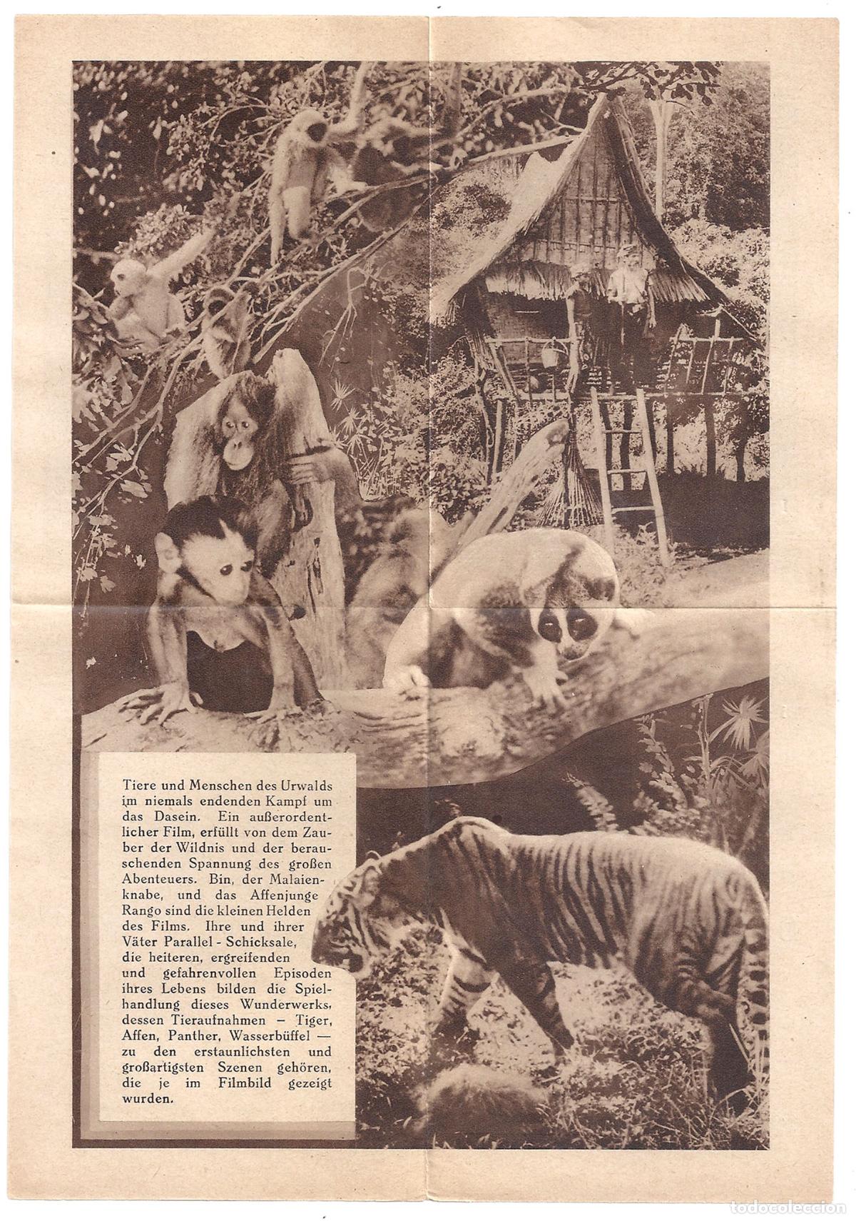 Cine: PTCC 818 RANGO PROGRAMA DESPLEGABLE PARAMOUNT ALEMAN ERNEST B. SCHOEDSACK SUMATRA - Foto 2