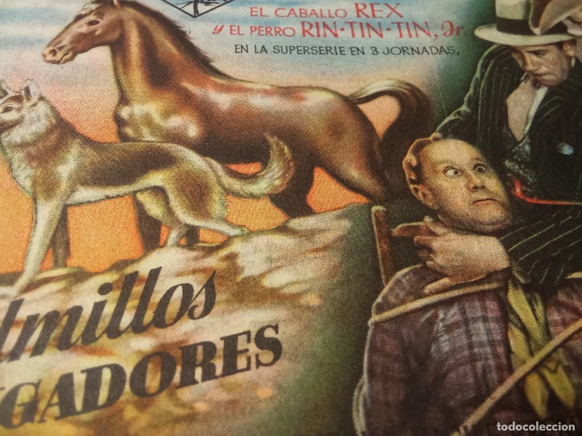 Cine: Colmillos vengadores. - Foto 2