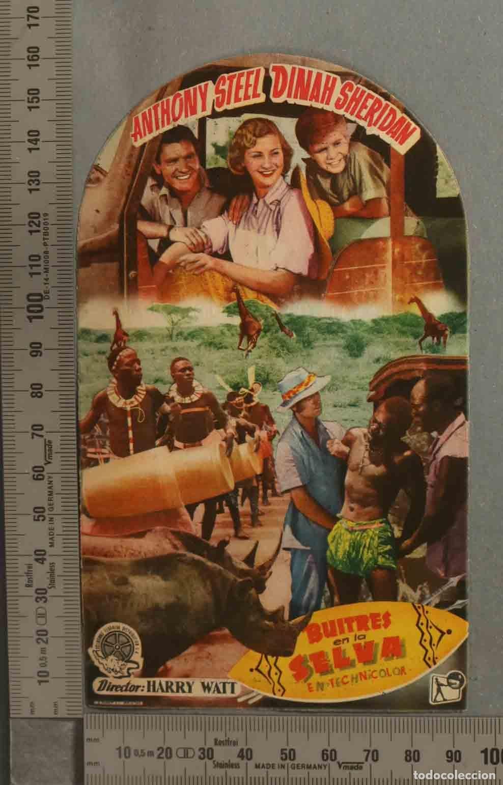 Cine: PROGRAMA DE CINE. BUITRES EN LA SELVA - Foto 1