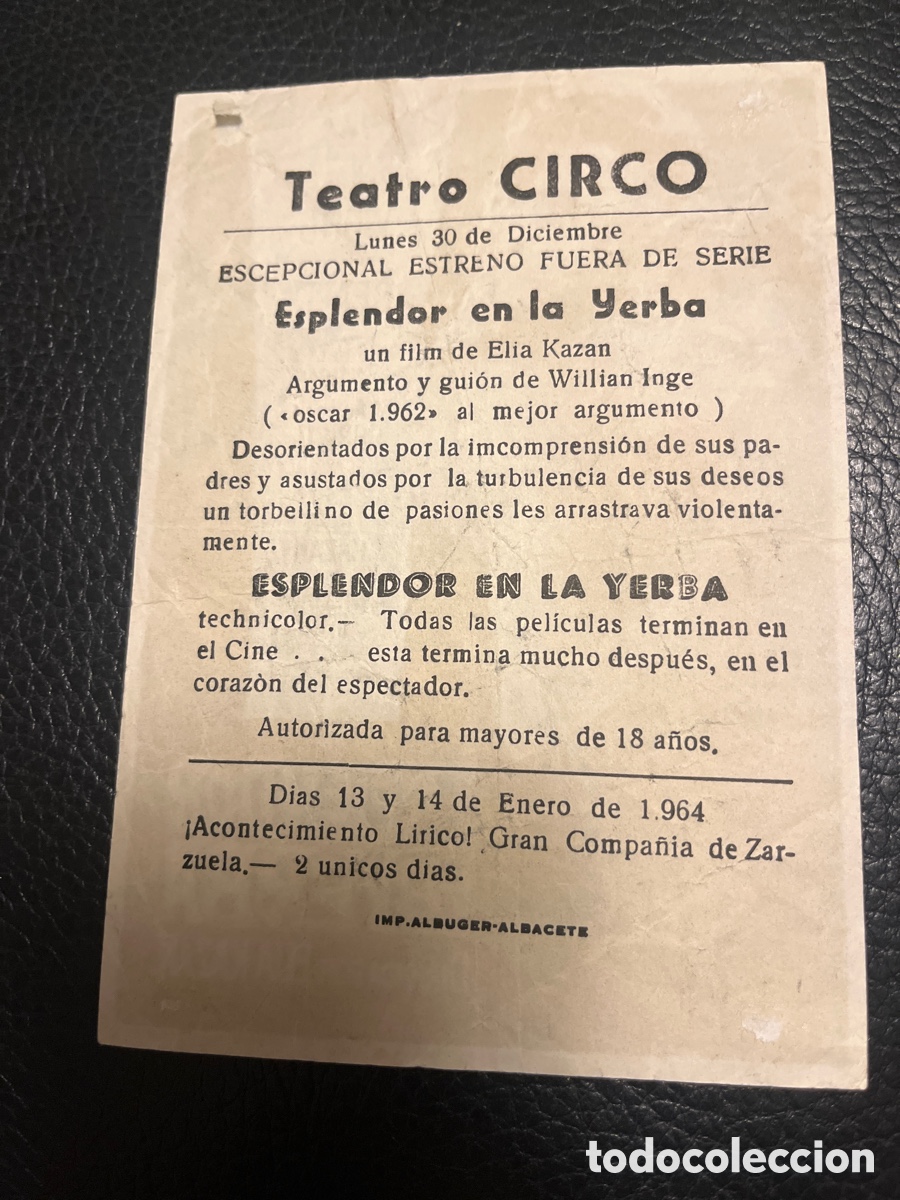 Cine: Esplendor en la yerba - Foto 2