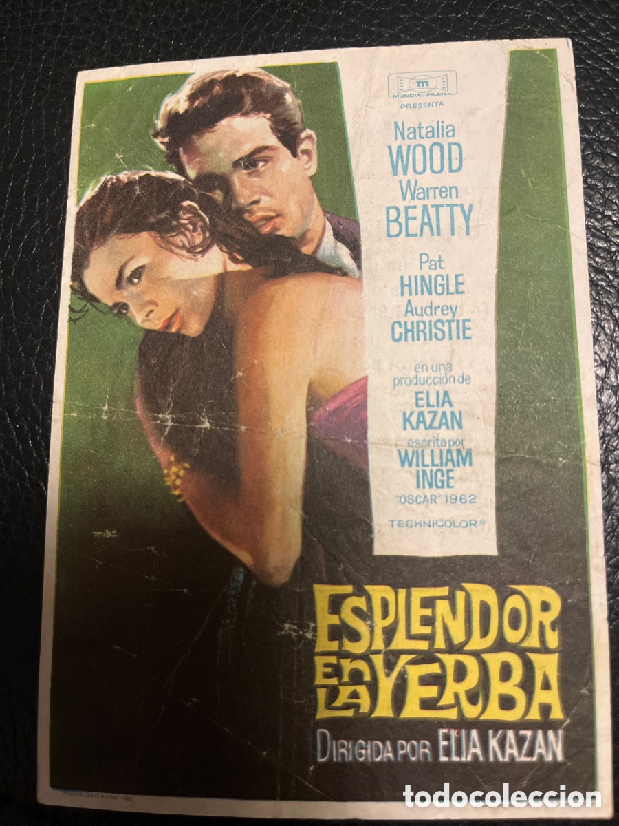 Cine: Esplendor en la yerba - Foto 1