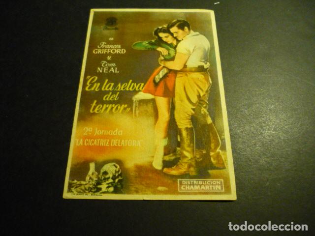 Cine: EN LA SELVA DEL TERROR PROGRAMA DE CINE SIN PUBLICIDAD - Foto 1