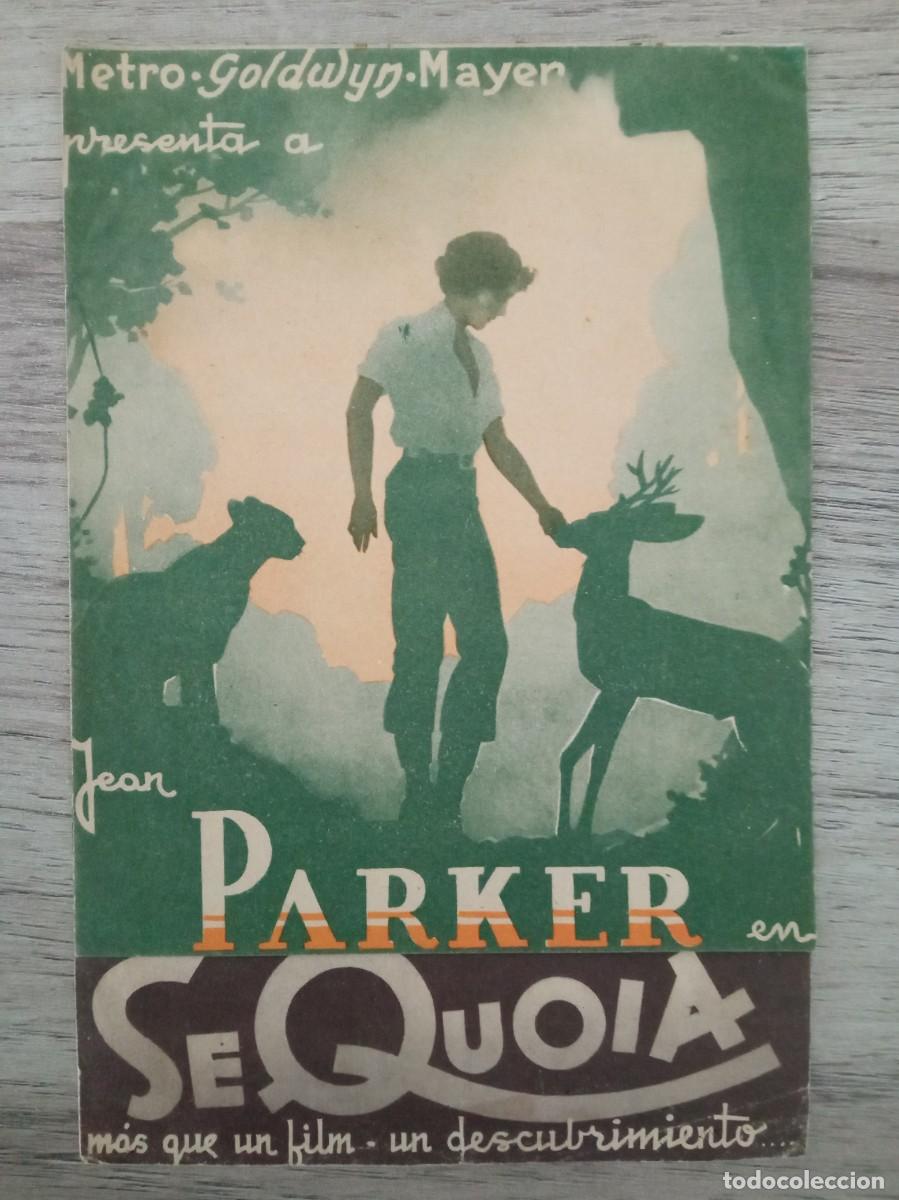 Cine: SEQUOIA, JEAN PARKER - Foto 1