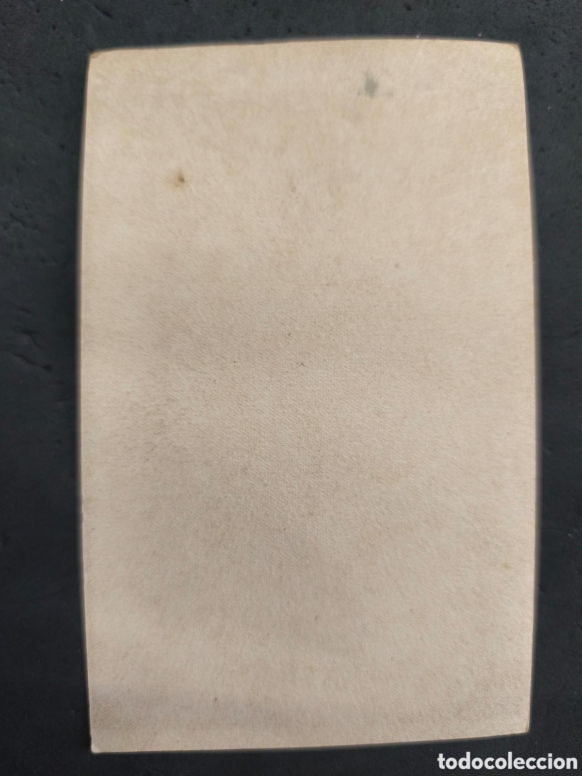 Cine: Programa la Amante indomita - Foto 2