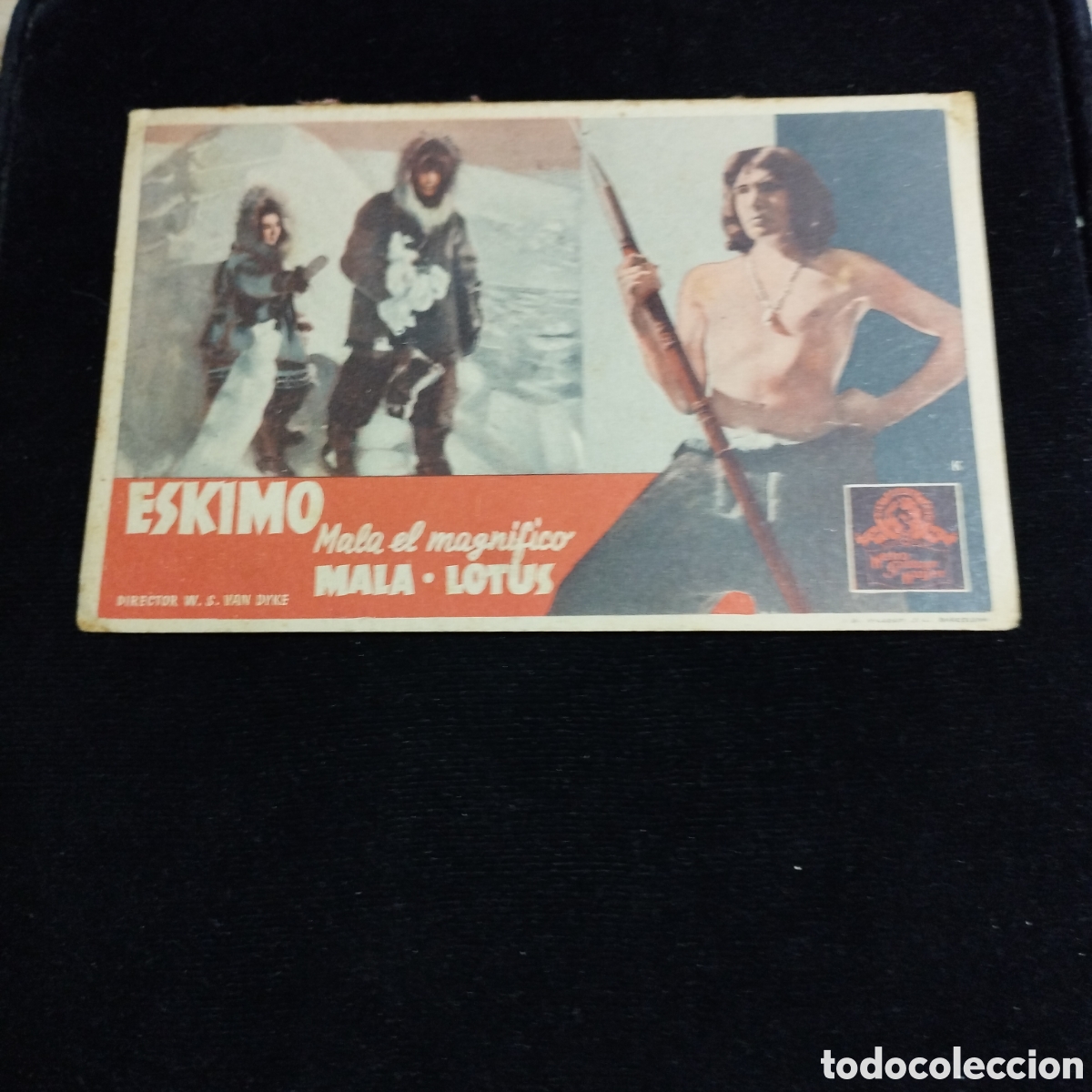 Cinema: Programa de cine, sencillo. Eskimo. Mala el magn&iacute;fico. Mala. Lotus.