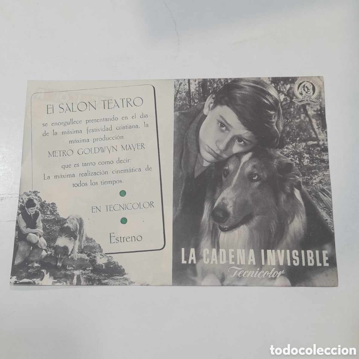 Cine: Programa de Lassie La cadena invisible - Foto 2