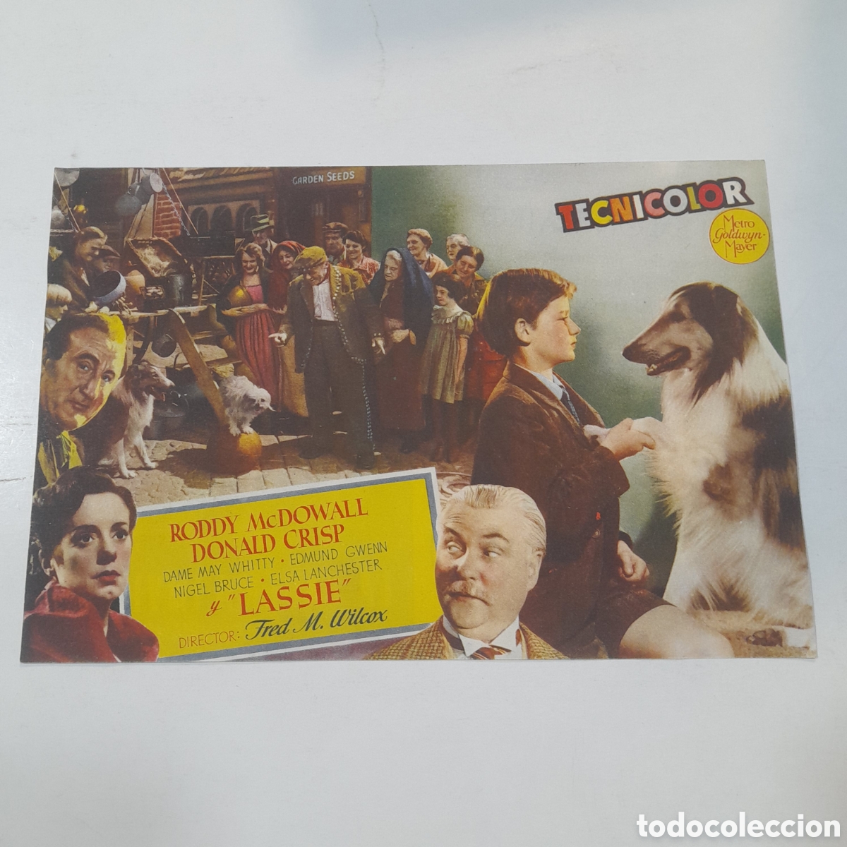 Cine: Programa de Lassie La cadena invisible