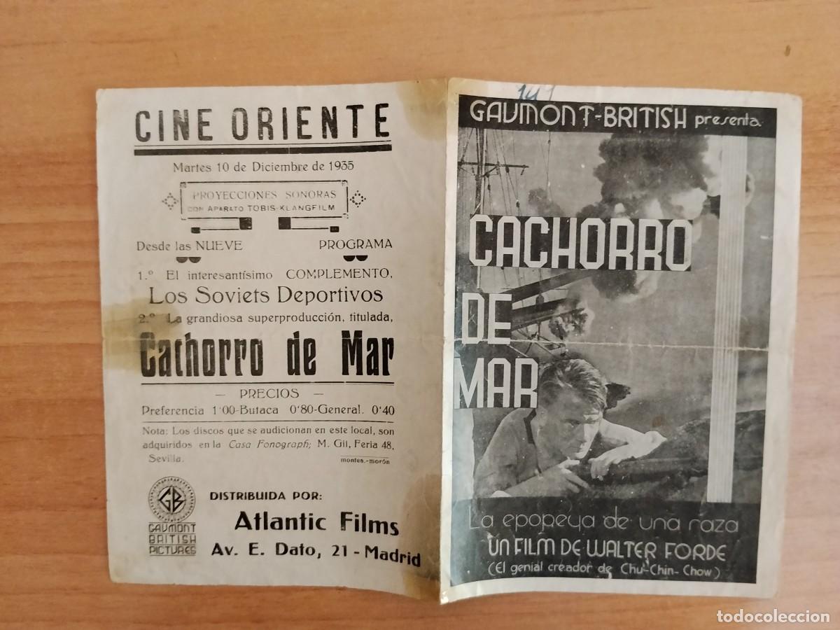 Cine: MORADO-PROGRAMA DE CINE --CACHORRO DE MAR CT