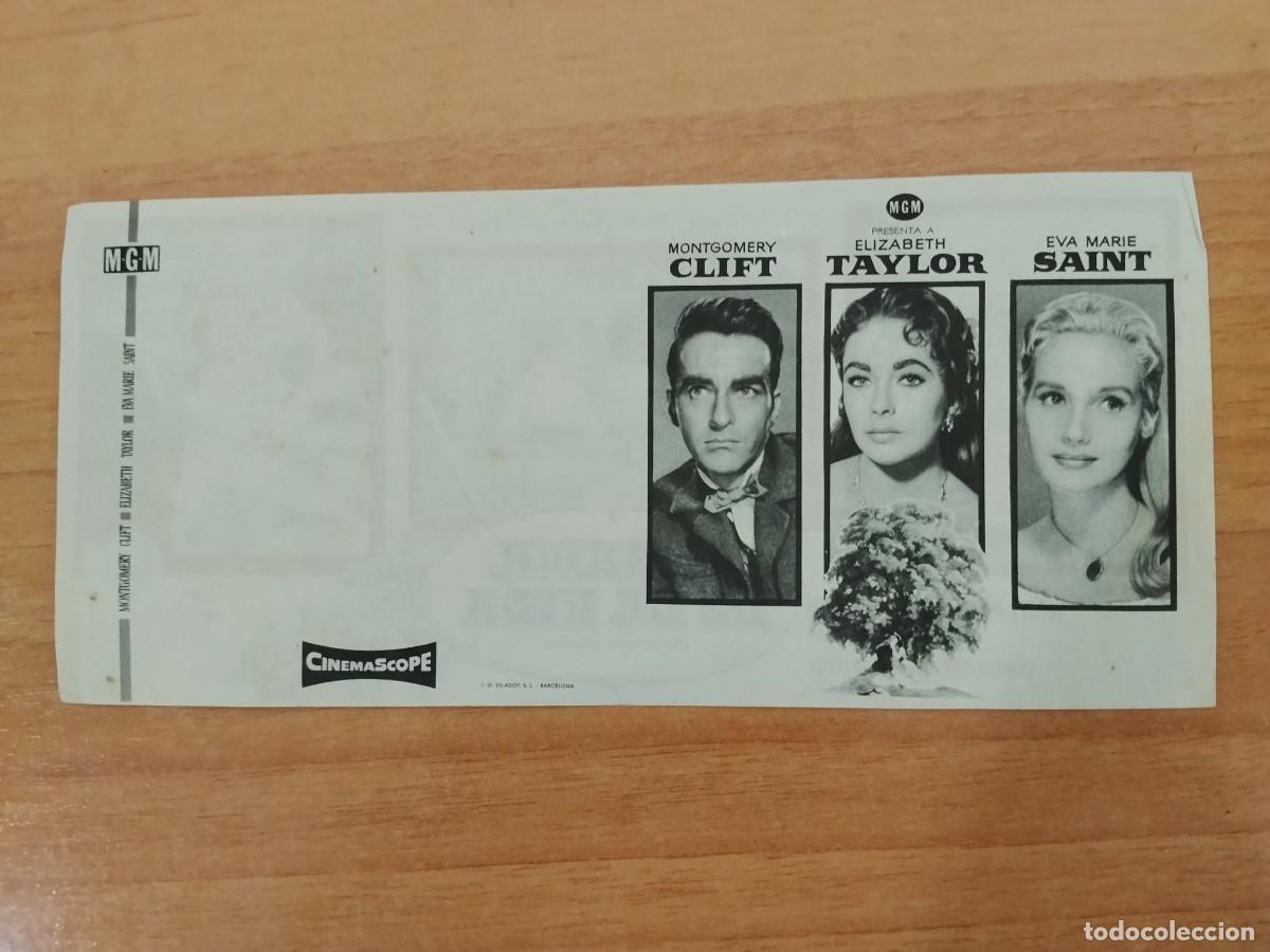Folhetos de m&atilde;o de filmes antigos de cinema: TURQ--PROGRAMA DE CINE--EL ARBOL DE LA VIDA