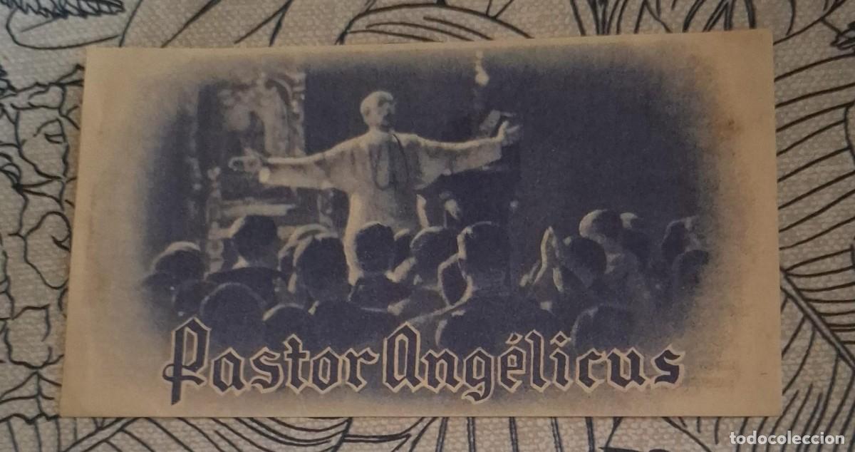 Cine: PASTOR ANGELICUS - PROGRAMA DE CINE