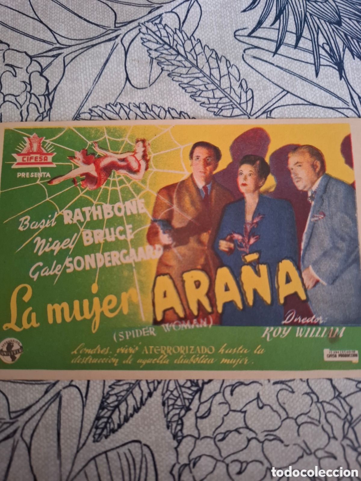 Cine: Programa de cine la mujer ara&ntilde;a