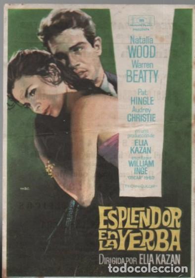 Cine: PROGRAMA DE CINE: ESPLENDOR EN LA YERBA PC-11432