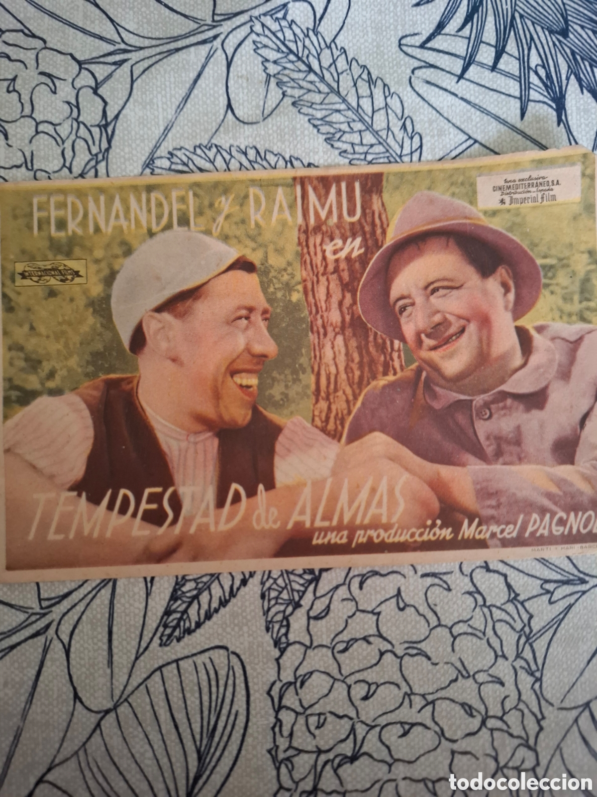 Cine: Programa de cine tempestad de almas
