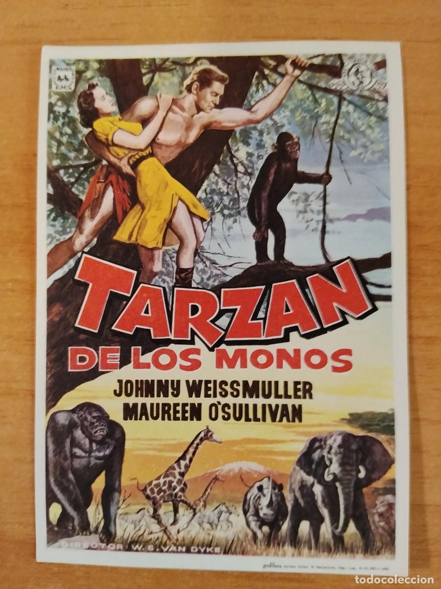 Cine: ROSA--PROGRAMA DE CINE-- TARZAN DE LOS MONOS