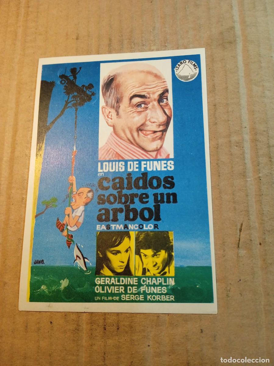 Cine: FOLLETO DE MANO SIN PUBLCIDAD CAIDOS SOBRE UN ARBOL