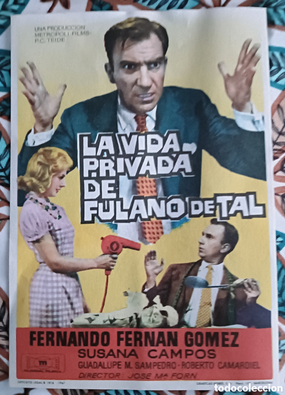 Cine: LA VIDA PRIVADA DE FULANO DE TAL - FERNANDO FERN&Aacute;N G&Oacute;MEZ - SIN PUBLICIDAD