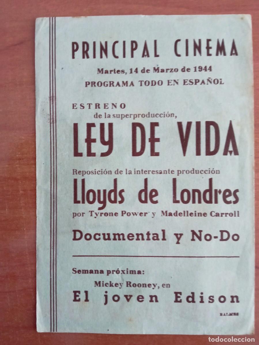 Cine: LEY DE VIDA, FLORELLE, LARQUEY - Foto 2