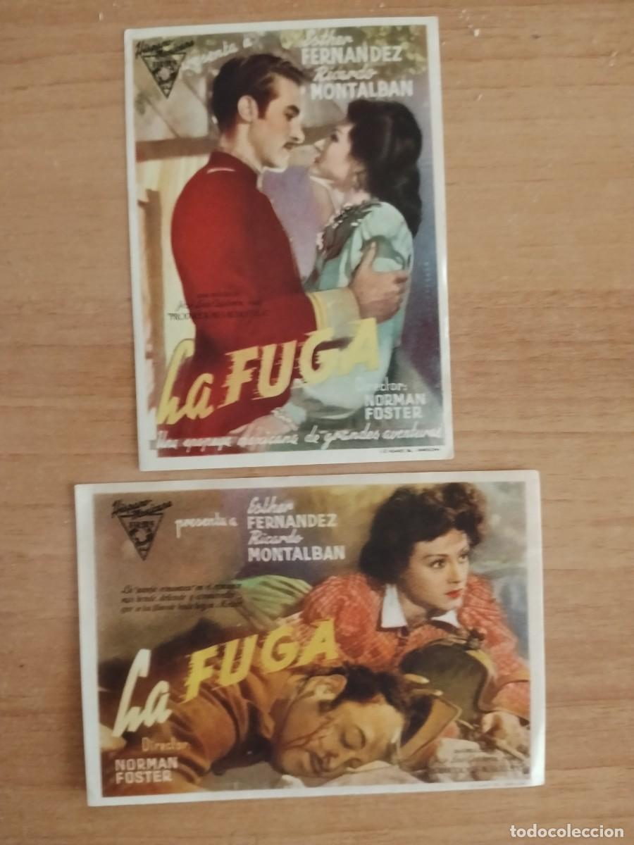 Cine: ROSA-PROGRAMA DE LA PELICULA---LA FUGA