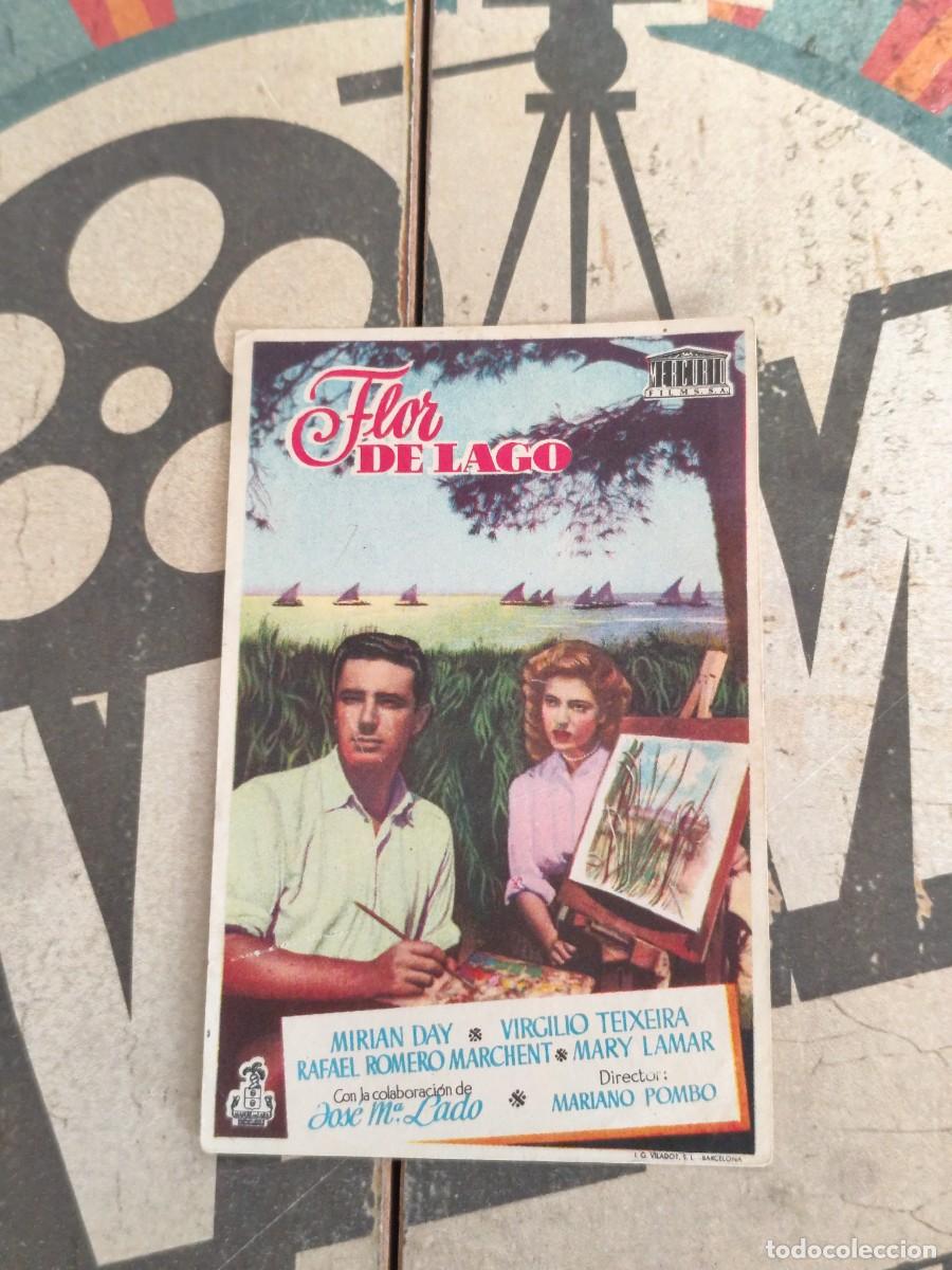 Cine: Flor del lago sin Publicidad