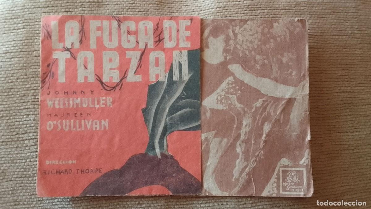 Cine: PROGRAMA DE CINE. LA FUGA DE TARZAN. JOHNNY WIESSMULLER. CINE RECREO. VERGES. DE MANO.